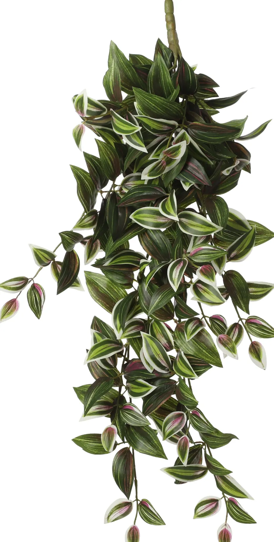 Intratuin Mica Decorations Künstliche Hängepflanze Tradescantia 15 x 20 x 54 cm| Künstliche Hängepflanzen