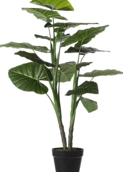 Intratuin Mica Decorations Kunstpflanze Taro D 70 H 100 cm| Kunstpflanzen