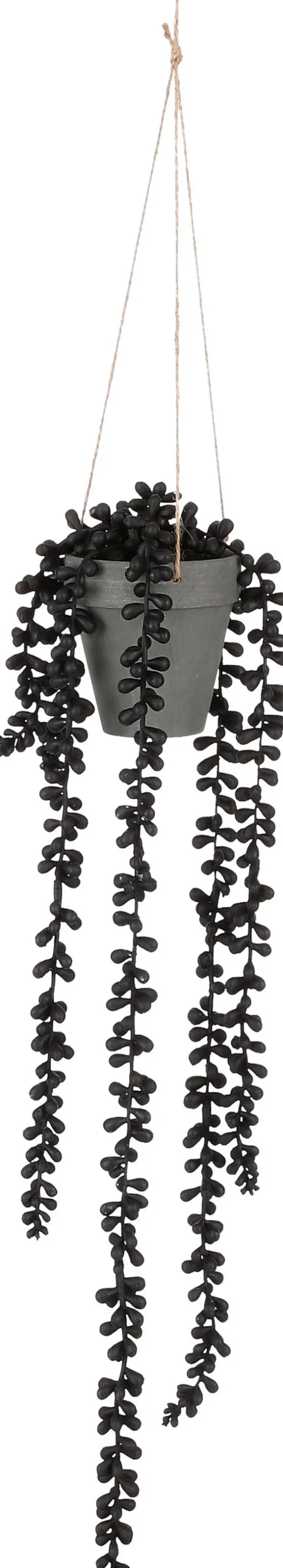 Intratuin Mica Decorations Kunstpflanze Erbsenpflanze 56 x 9 x 9 cm zwart| Künstliche Hängepflanzen