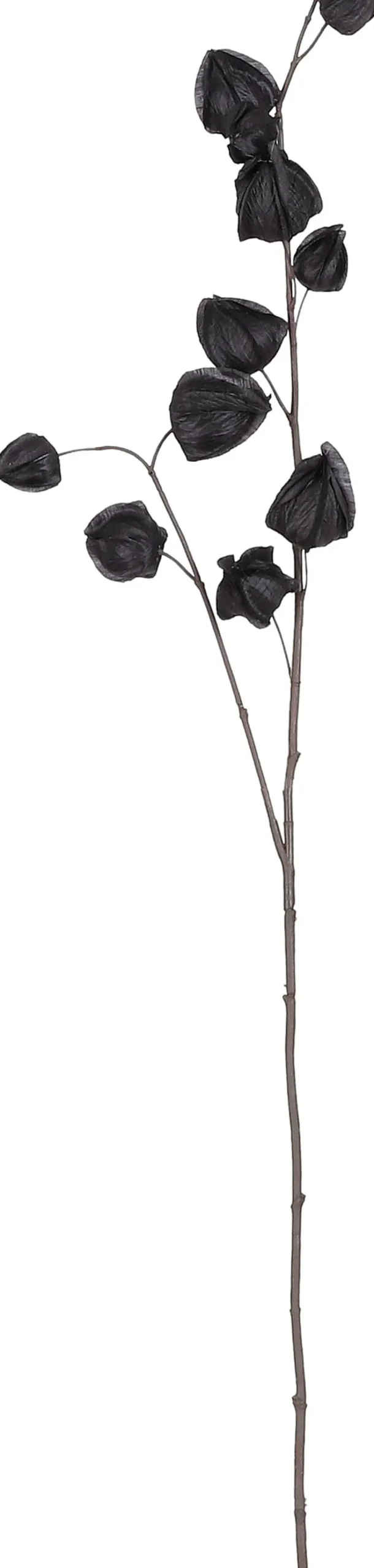 Intratuin Mica Decorations Kunstzweig Physalis 94 x 17 x 4 cm zwart| Künstliche Deko-Zweige