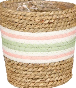 Intratuin Mica Decorations Pflanzkorb Rachel hellgrün D 14 H 14 cm| Pflanzkörbe|Pflanzkörbe