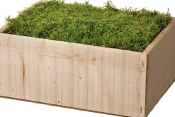 Intratuin Moos zur Dekoration in Holzkiste 40 x 25 x 10 cm| Weihnachts- & Adventsdeko