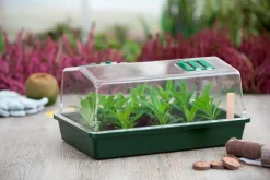 Intratuin Nature Aero Serre Anzuchtkasten 38 x 24 x 18 cm| Anzuchtkästen & Mini-Gewächshäuser