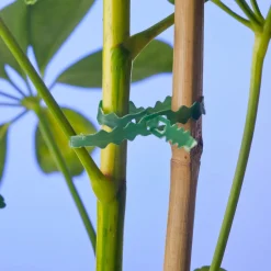 Intratuin Nature Bindeband 25 m| Rankhilfen|Bindematerial