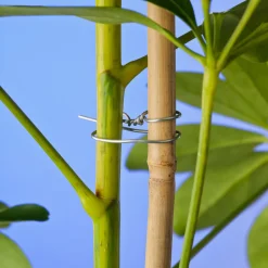 Intratuin Nature Bindedraht verzinkt D 1,2 mm x 50 m| Rankhilfen|Bindematerial