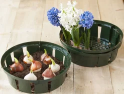 Intratuin Nature Blumenzwiebel Pflanzschale grün D 26 H 7,5 cm 3 St.| Blumenzwiebelpflanzer|Schaufeln