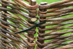 Intratuin Nature Kabelbinder 30 cm schwarz 25 St.| Rankhilfen|Bindematerial