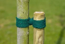 Intratuin Nature Kokosgarn grün 50 m| Rankhilfen|Bindematerial