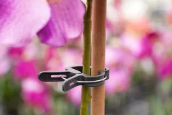 Intratuin Nature Pflanzenclips D 35 mm 5 St.| Rankhilfen|Bindematerial