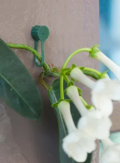 Intratuin Nature Pflanzenklammern grün D 15 mm 15 St.| Rankhilfen|Bindematerial