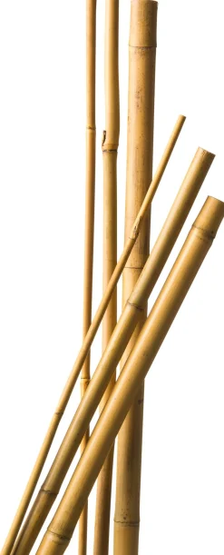Intratuin Nature Pflanzstab Bambus H 180 cm D 14-16 mm 3 St.| Rankhilfen|Pflanzstäbe