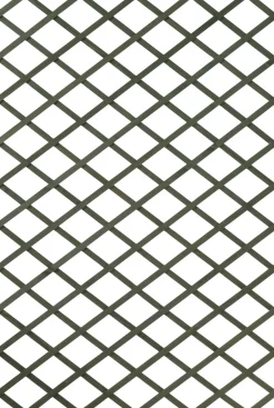 Intratuin Nature Rankgitter 50 x 150 cm grün| Rankhilfen|Rankgitter & Spaliere