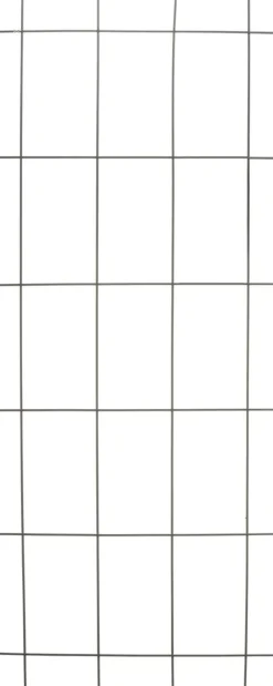 Intratuin Nature Rankgitter Metall kunststoffbeschichtet 150 x 60 cm grün| Rankhilfen|Rankgitter & Spaliere