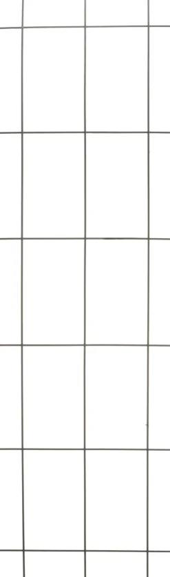 Intratuin Nature Rankgitter Metall kunststoffbeschichtet 150 x 45 cm grün| Rankhilfen|Rankgitter & Spaliere