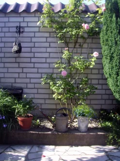 Intratuin Nature Rankgitter V-Form galvanisiertes Metall H 145 x 5-75 cm| Rankhilfen|Rankgitter & Spaliere