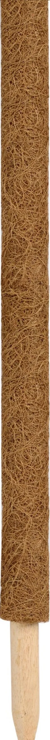 Intratuin Nature Rankhilfe Kokosstab H 60 cm D 38 mm| Rankhilfen|Pflanzstäbe