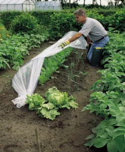 Intratuin Nature Tunnelbogen für Folientunnel H 66 D 103 cm| Anzuchtkästen & Mini-Gewächshäuser