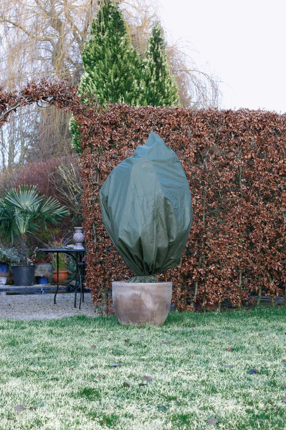 Intratuin Nature Winterschutz-Haube mit Schnur D 50 cm x 1m 50 g/m² 3 St. grün| Pflanzenschutz|Winterschutz