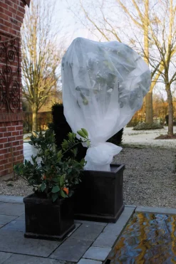 Intratuin Nature Winterschutzvlies 1 x 10 m weiß| Pflanzenschutz|Winterschutz