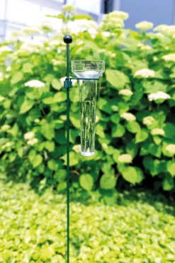 Intratuin Peacock Regenmesser transparent D 8,5 H 28 cm| Regenmesser