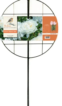 Intratuin Peacock Stützgitter mit 3 Stäben grün D 40 H 100 cm| Rankhilfen|Rankgitter & Spaliere