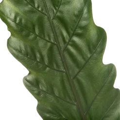 Intratuin Pfeilblatt (Alocasia 'Lauterbachiana') D 19 cm H 75 cm| Grünpflanzen|Alocasia