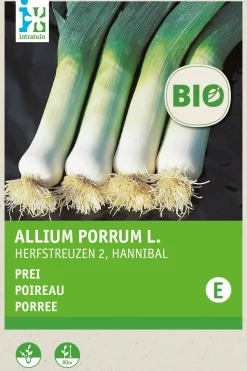 Intratuin Porree (Allium porrum 'Hannibal') (BIO) Samen| Gemüsesamen|Saatgut