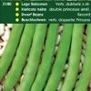 Intratuin Prinzessbohnen (Phaseolus vulgaris 'verbesserte doppelte Prinzess') Samen| Gemüsesamen|Saatgut