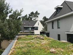 Intratuin Sempergreen Sedummatte 200 x 60 x 2 cm| Blühende Pflanzen|Immergrüne Pflanzen