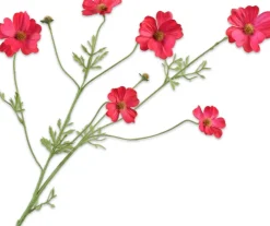 Intratuin Silk-Ka kunstbloem Cosmea rot 77 cm| Kunstblumen