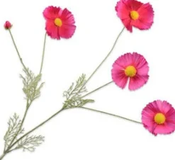 Intratuin Silk-Ka Kunstblume Cosmos 92 cm| Kunstblumen
