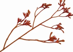 Intratuin Silk-ka Kunstblume Känguru-Blume orange 72 cm| Kunstblumen