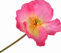Intratuin Silk-ka Kunstblume Mohn rosa 69 cm| Kunstblumen