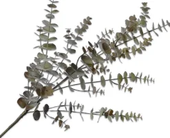 Intratuin Silk-Ka Kunstzweig Eukalyptus 111 cm grün| Künstliche Deko-Zweige