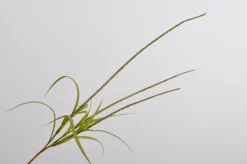 Intratuin Silk-Ka Kunstzweig Gras 135 cm grün| Künstliche Deko-Zweige