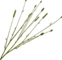 Intratuin Silk-Ka Kunstzweig Wiesenknopf Pimpernel grün 84 cm| Kunstblumen