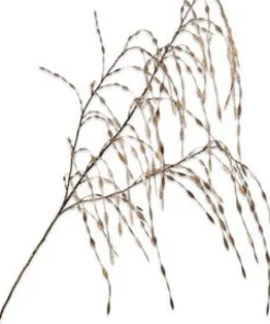 Intratuin Silk-Ka Kunstzweig Ziergras gold 119 cm| Künstliche Deko-Zweige