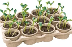 Intratuin Sogo Eco Anzucht-Set inkl. 12 Anzuchttöpfchen 7,5 x 40 x 28 cm| Anzuchtkästen & Mini-Gewächshäuser