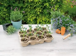 Intratuin Sogo Eco Anzucht-Set inkl. 12 Anzuchttöpfchen 7,5 x 40 x 28 cm| Anzuchtkästen & Mini-Gewächshäuser