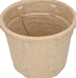 Intratuin Sogo Eco Anzucht-Set inkl. 12 Anzuchttöpfchen 7,5 x 40 x 28 cm| Anzuchtkästen & Mini-Gewächshäuser