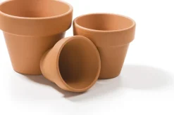 Intratuin SOGO Terrakotta Anzuchttopf D 4/5 cm 12 St.| Anzuchttöpfe