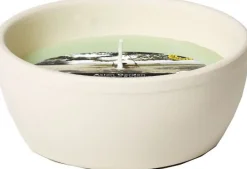 Intratuin Spaas Citronella-Kerze Asian Garden grün 13 Std. D 10,9 H 4,6 cm| Kerzen Im Glas|Citronella-Kerzen