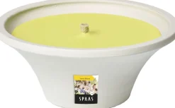 Intratuin Spaas Citronella-Kerze Lemon Breeze gelb 9 Std. D 17,5 H 7,5 cm| Kerzen Im Glas|Citronella-Kerzen