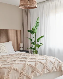 Intratuin Strelitzie (Strelitzia nicolai) D 27 H 150 cm| Große Pflanzen|Blühende Zimmerpflanzen