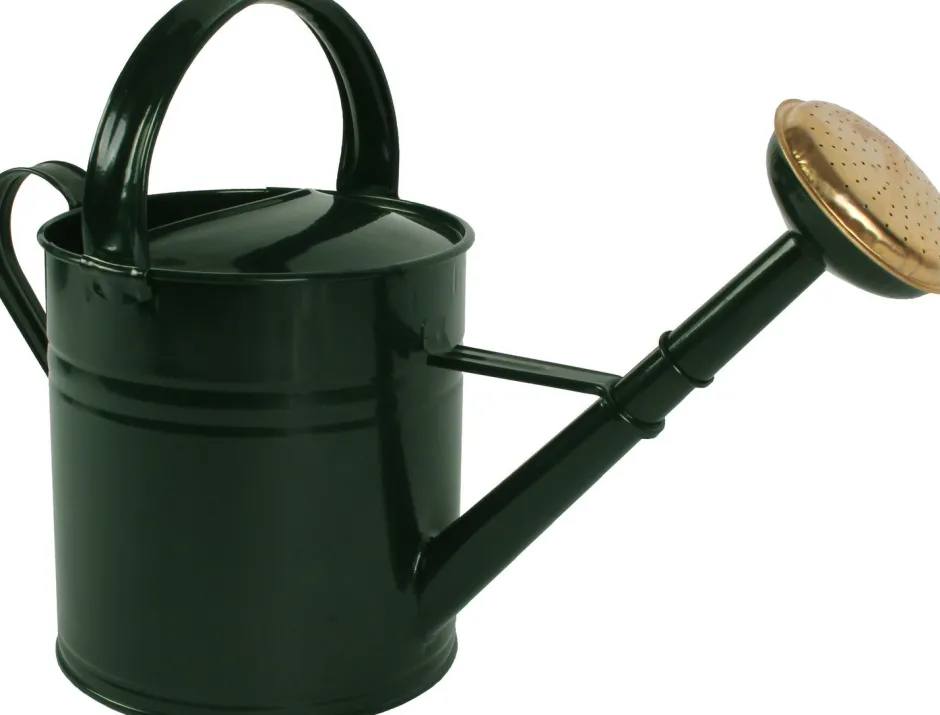 Intratuin Talen Tools Gießkanne 5 l grün| Gießen & Bewässerung|Gießkannen