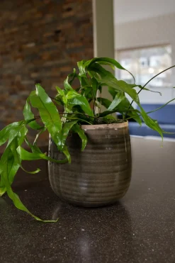 Intratuin TS Blumentopf Iris grün D 21 H 17 cm| Blumentöpfe|Blumentöpfe & Pflanzgefäße