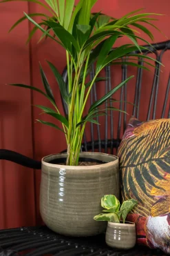 Intratuin TS Blumentopf Iris grün D 8 H 7 cm| Blumentöpfe|Blumentöpfe & Pflanzgefäße