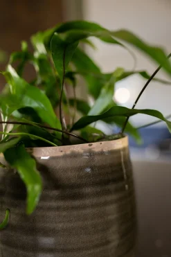 Intratuin TS Blumentopf Iris grün D 26 H 21 cm| Blumentöpfe & Pflanzgefäße|Blumentöpfe