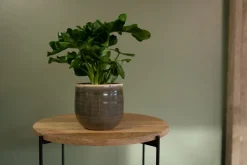 Intratuin TS Blumentopf Iris grün D 14 H 12 cm| Blumentöpfe|Blumentöpfe & Pflanzgefäße