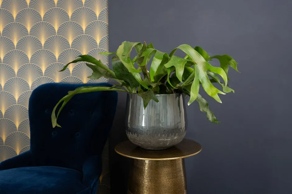 Intratuin TS Blumentopf Ninthe grau D 29 H 25 cm| Blumentöpfe & Pflanzgefäße|Blumentöpfe